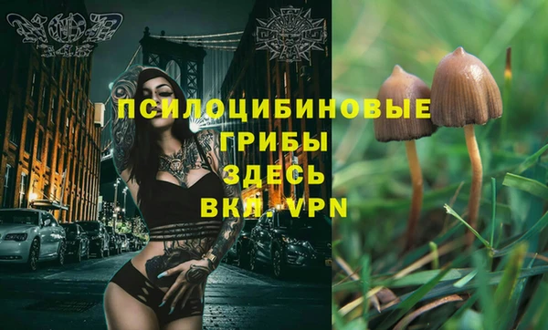 гашик Абаза