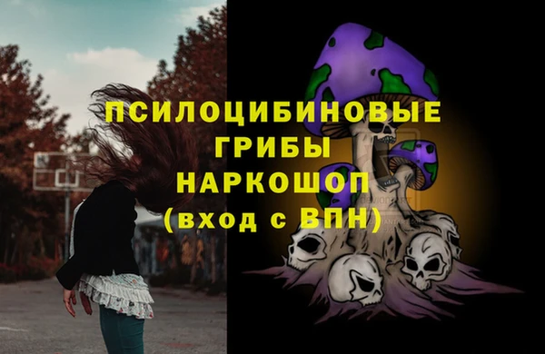 гашик Абаза