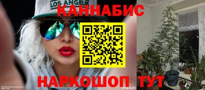 крисы Ипатово