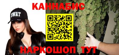 МДПВ Камышлов