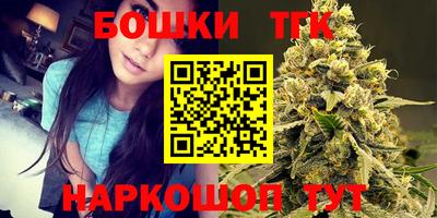 МДПВ Камышлов